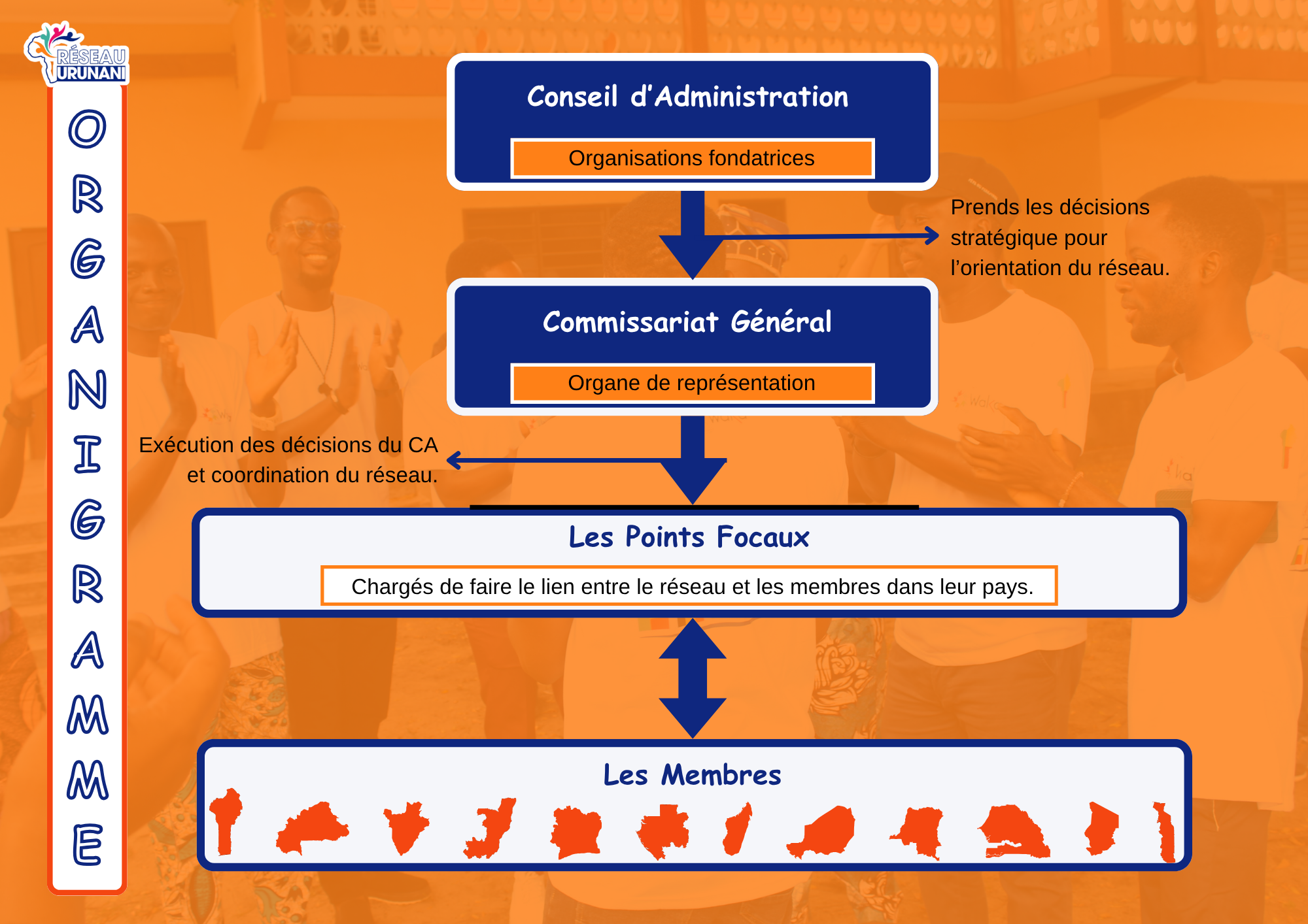 Organigramme